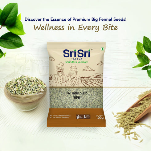 Sri Sri Tattva Big Fennel Seeds (saunf)